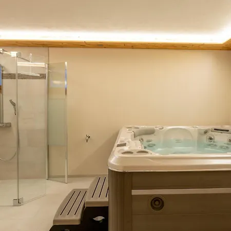 Lejlighed Haus Alpenrose By Interhome Saas-Almagell